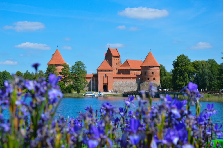 Zdjęcie TOMALTOUR